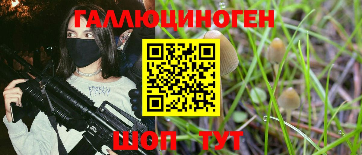 Псилоцибиновые грибы MAGIC MUSHROOMS  Вход с VPN  Заводоуковск  Галлюциногенные грибы мицелий 